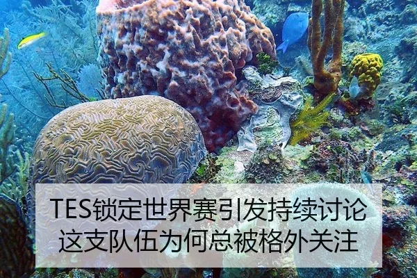 TES锁定世界赛引发持续讨论 这支队伍为何总被格外关注
